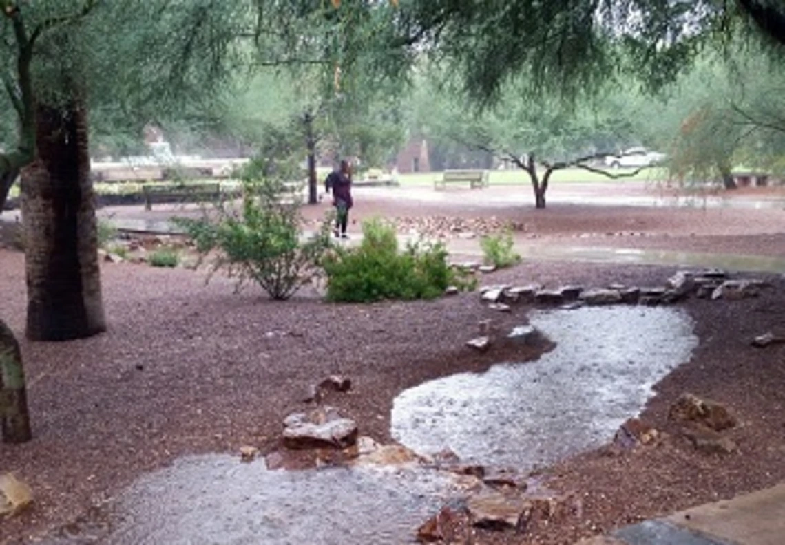 Check dams separate infiltration basins. Check dams separate infiltration basins.