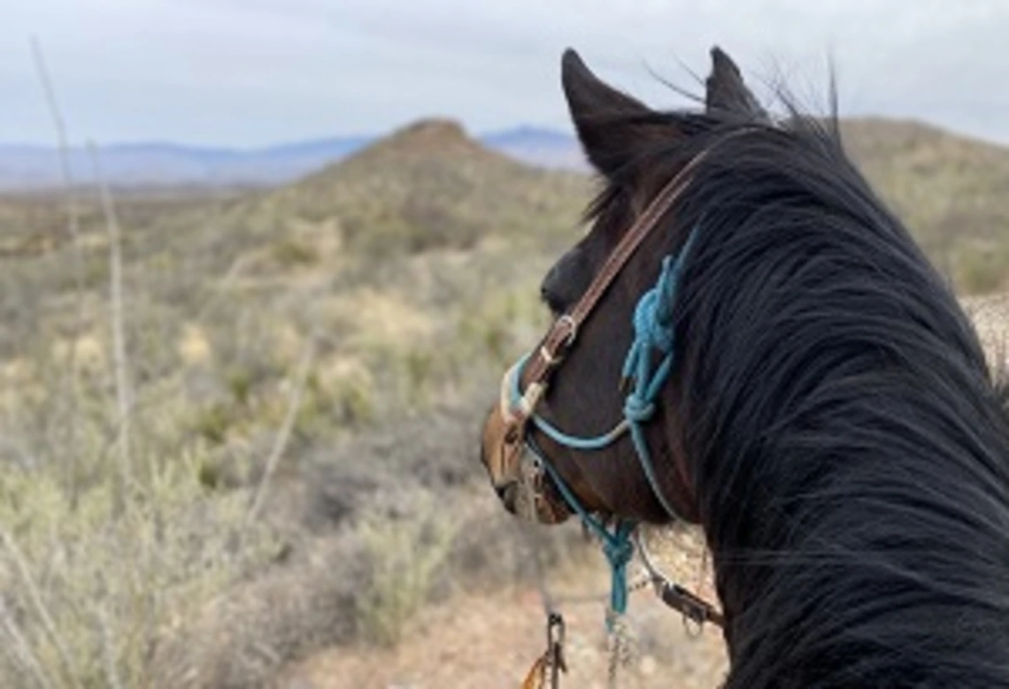 Horseback Riding