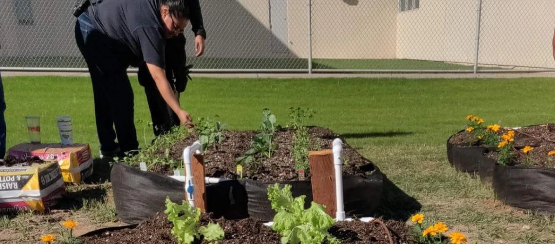 Photo of a detention center garden
