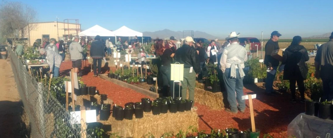 Crowd at outdoor plant sale