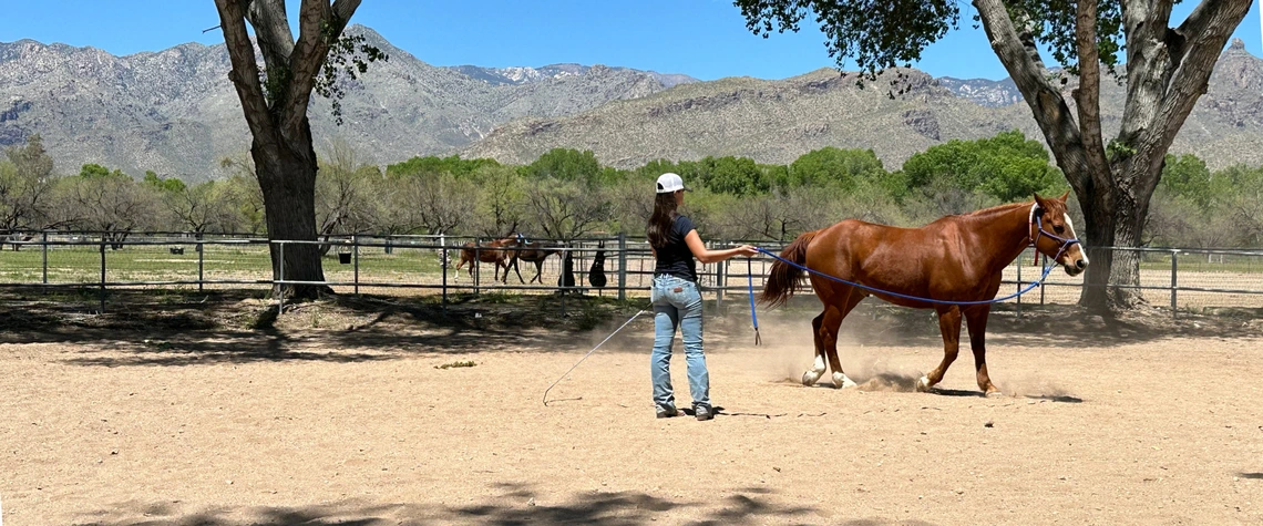 woman leads horse