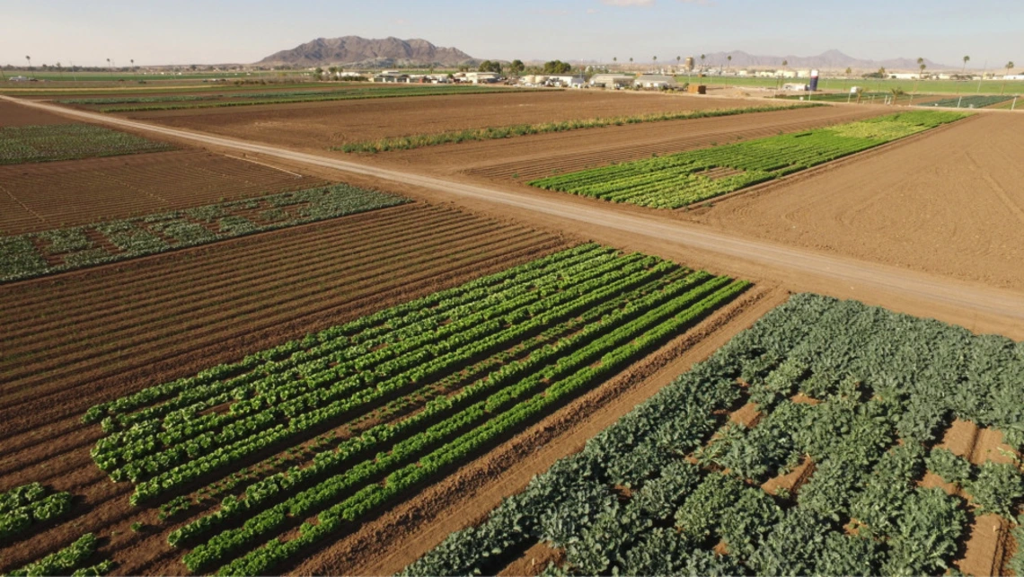 Arial view of yuma agricultural center