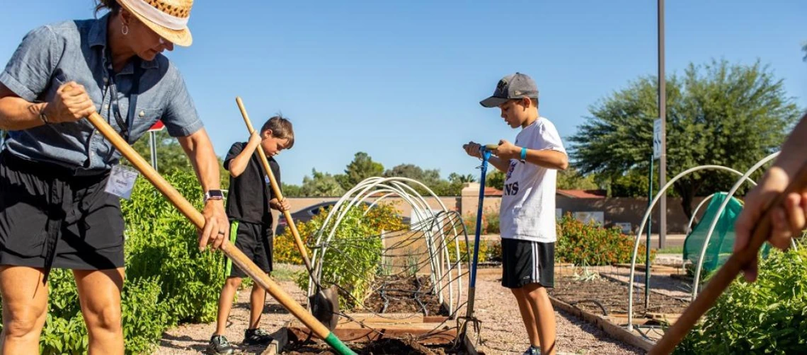 Photo of a school garden