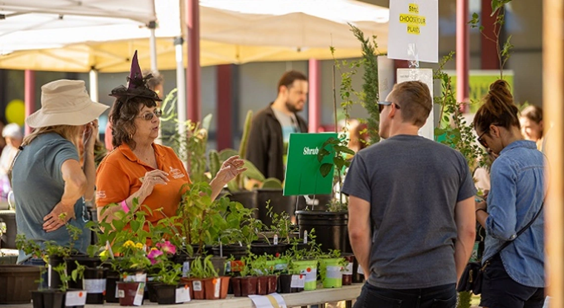 Maricopa Master Gardener Fall Plant Sale