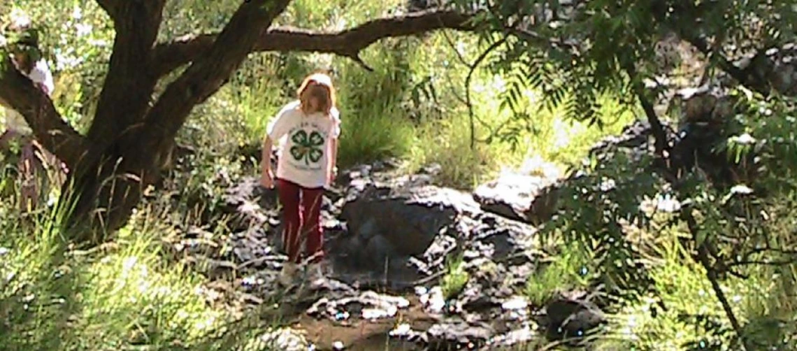 4-h youth standing in stream