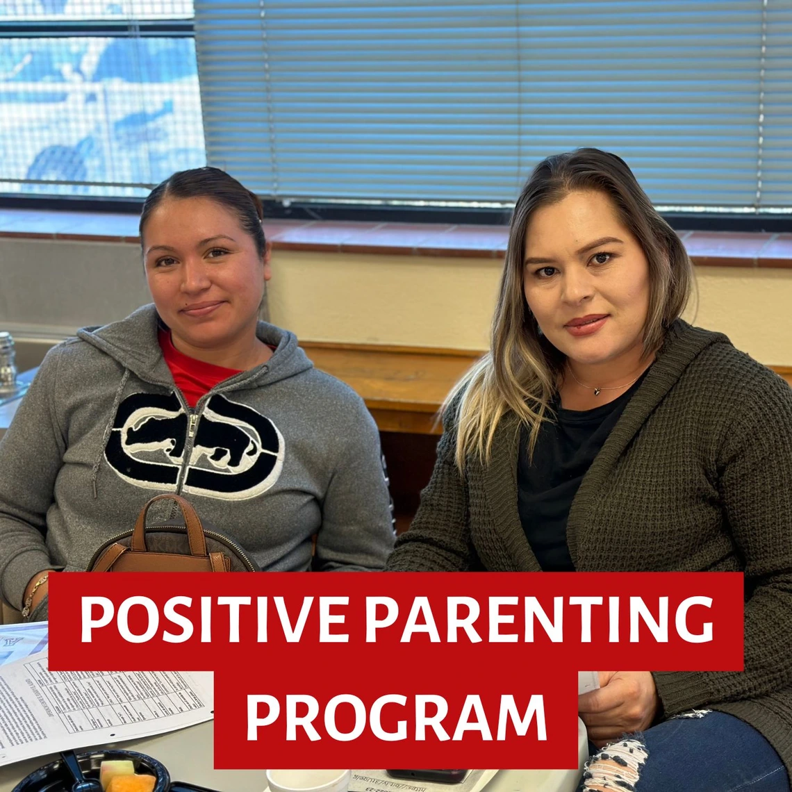 Positive Parenting Program