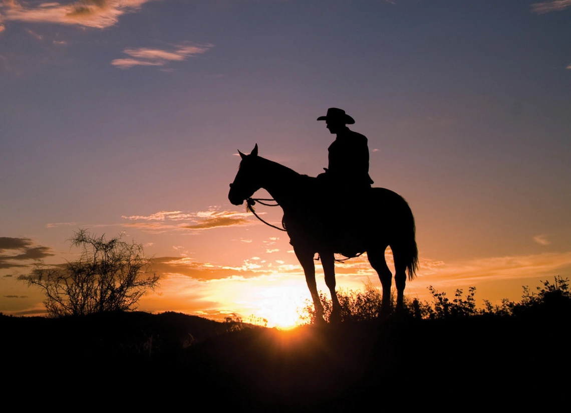 Person on horseback watches the sunset.