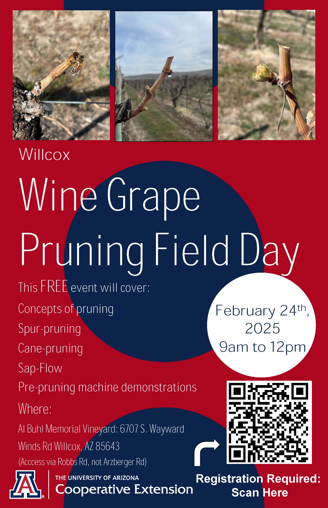 Pruning Workshop