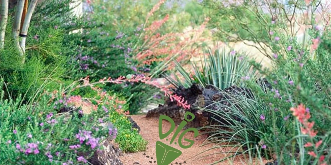 Favorite plants for desert landscape