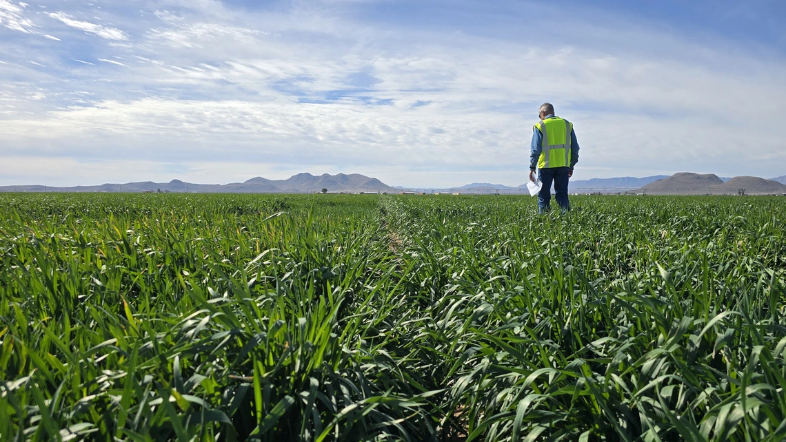 Farmer in a field in Cochise County