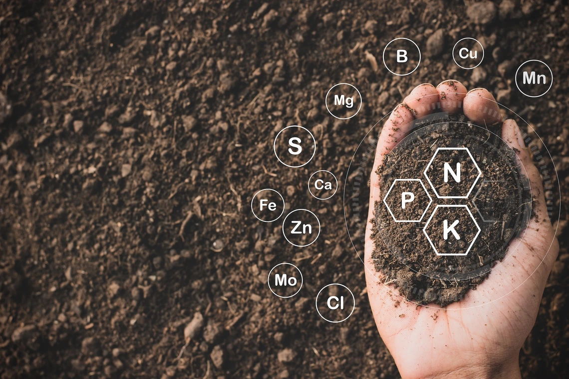 Photo illustration of nutrients in soil