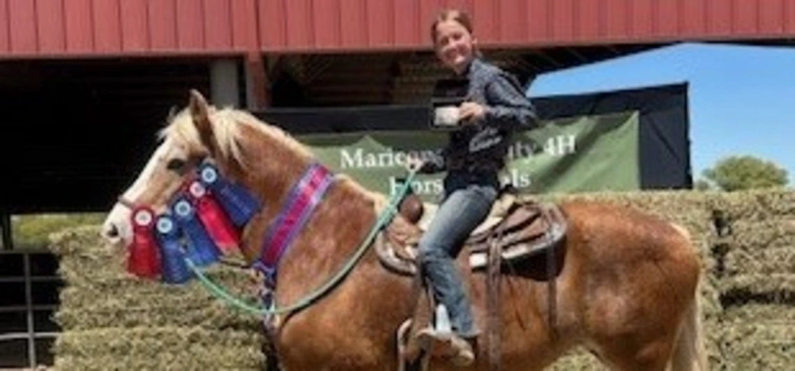 4-H youth on horse with ribbins attached to bridal and bit