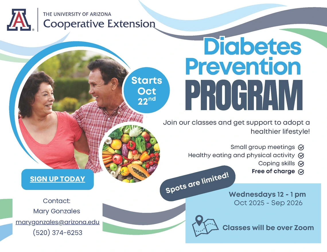 DPP Flyer