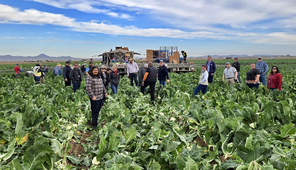 Photo of people in a farm field