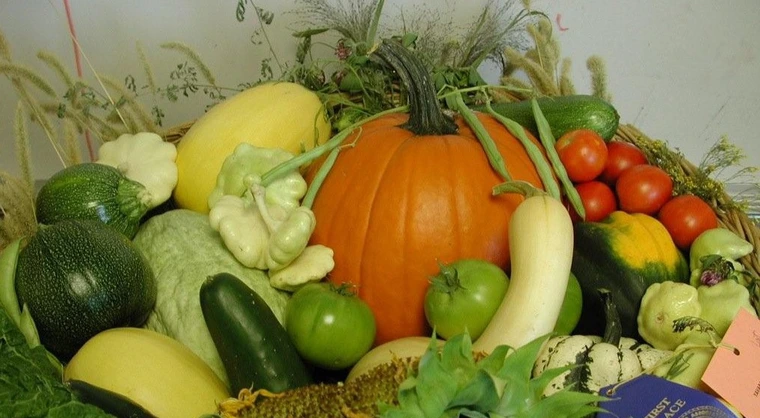 vegetables