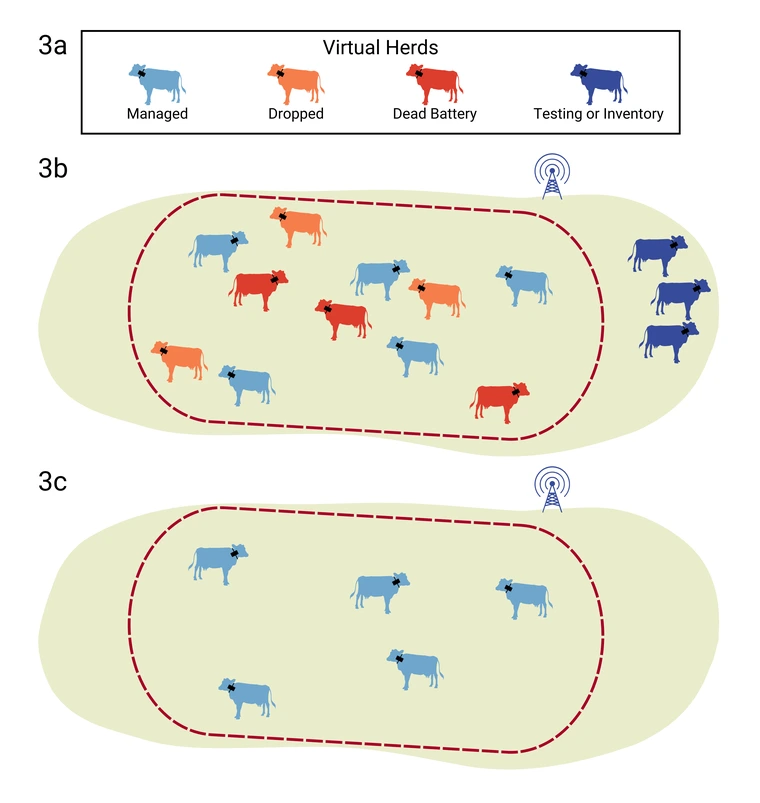 Organizing collars into multiple virtual herds based on the function or status of an individual collar