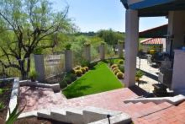 backyard xeriscape yard