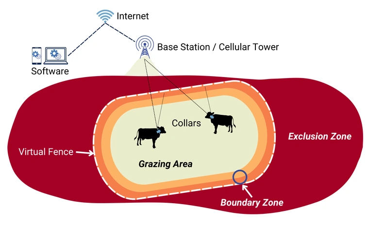 Conceptual model of hardware and software used to draw VF lines and define the grazing area, boundary zone, and exclusion zone