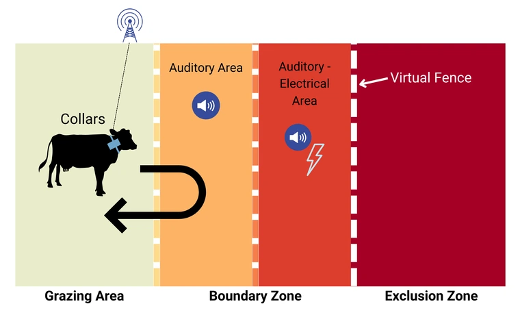 Classical conditioning in (a) Pavlov’s dog experiment and (b) a VF system.