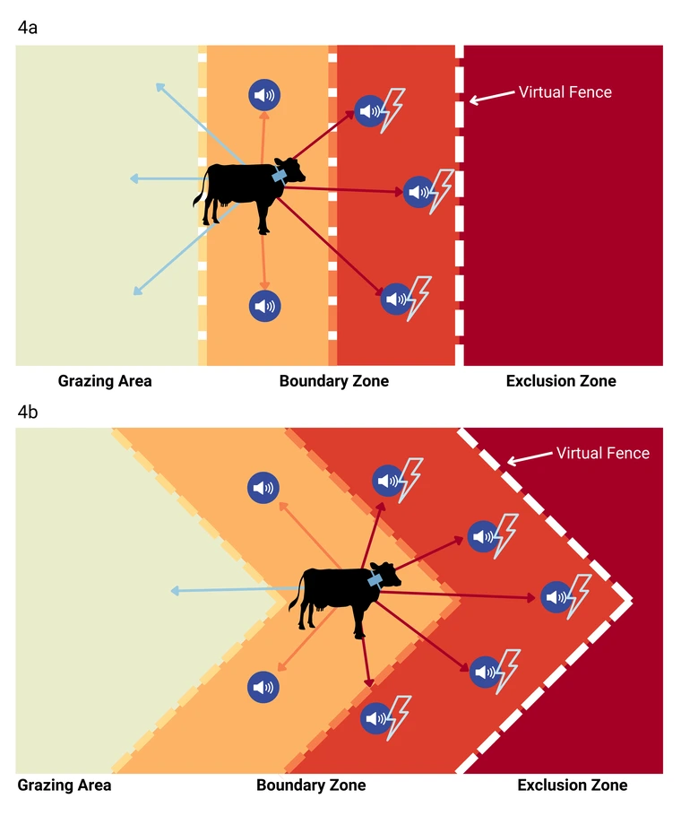 Conceptual model of (4a) a simple VF design where animals can more easily avoid and escape the boundary zone and (4b) a complex VF design where animals may have difficulty avoiding or escaping cues.