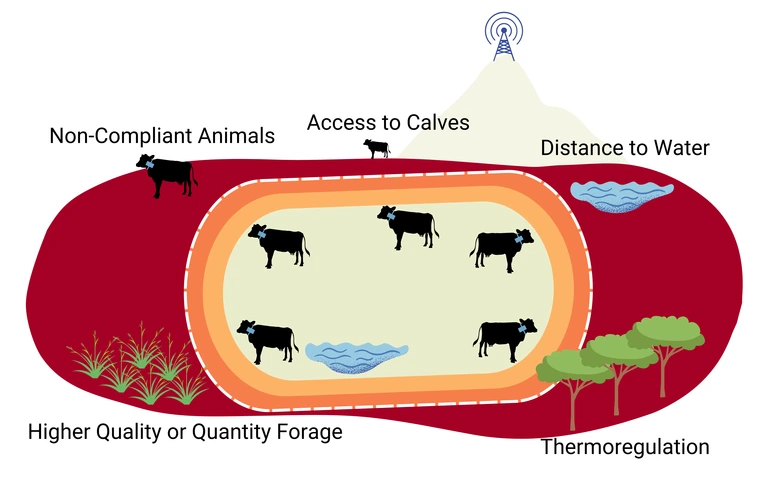 Types of incentives that may motivate livestock to leave the grazing area despite the VF system. Incentives include higher forage quality or quantity, noncompliant animals, access to calves, distance to water, and areas for thermoregulation. There are likely other unknown incentives not pictured.