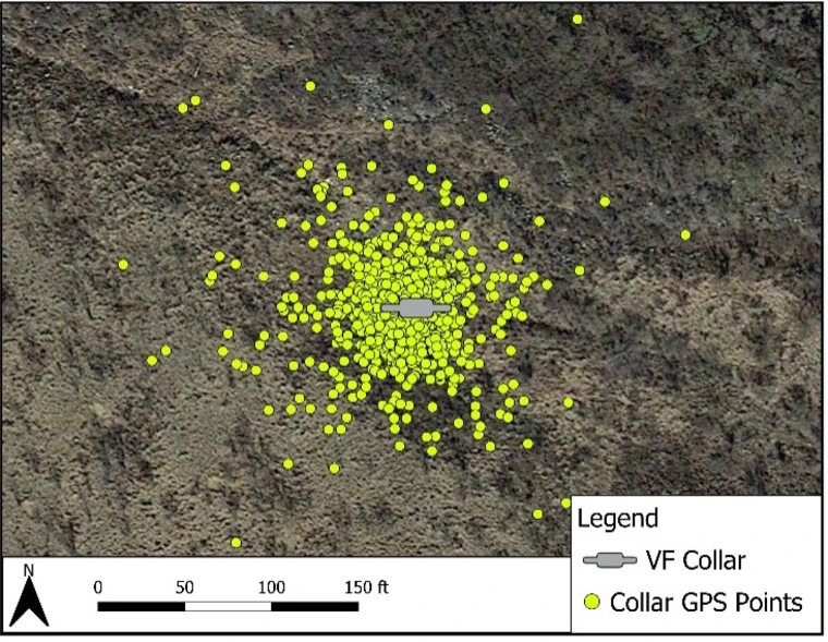 GPS points from a single stationary collar over a 30-day period.