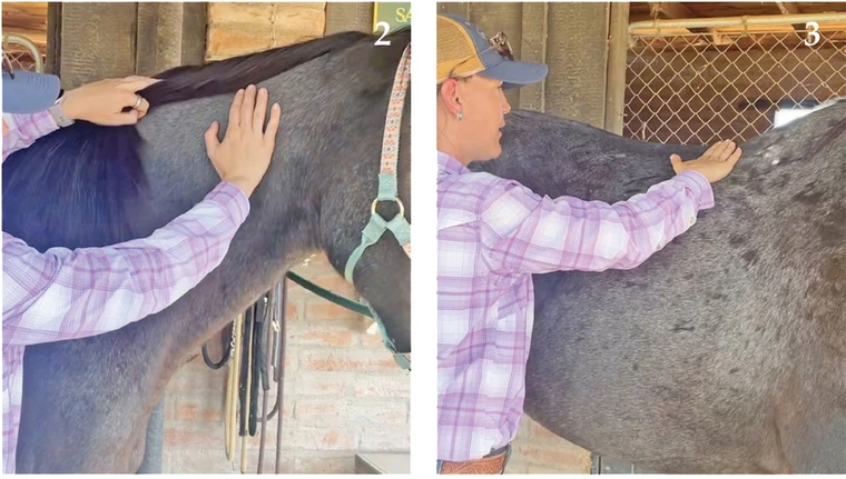 Woman places hand on neck of horse and on back of horse
