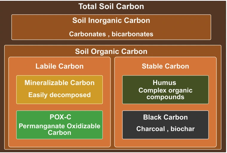 Chart showing that POX-C is only a small fraction of the total soil carbon pool.