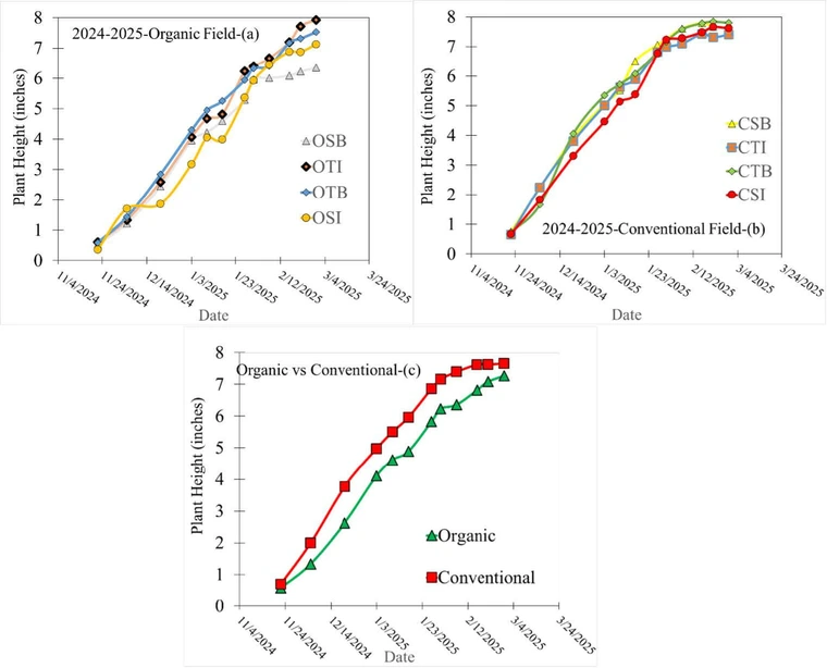 graphs showing distribution of plant height for organic fields, conventional fields and combined data.