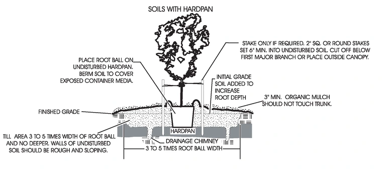 Soils with hardpan