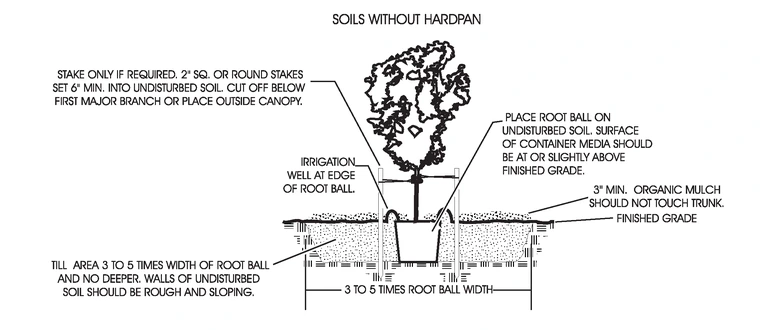 Soils without hardpan