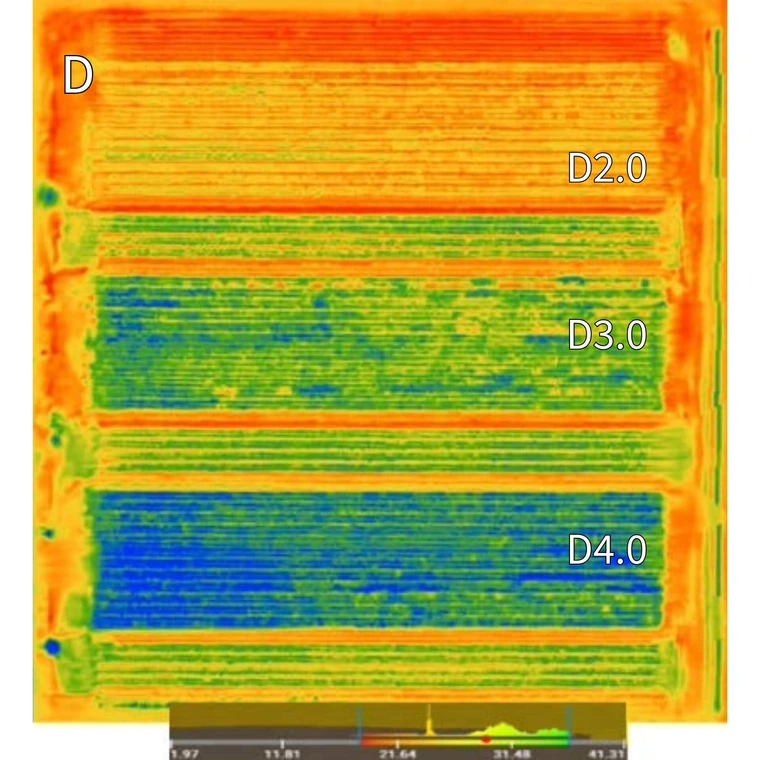 Surface temperature overhead drone photo of agriculture field