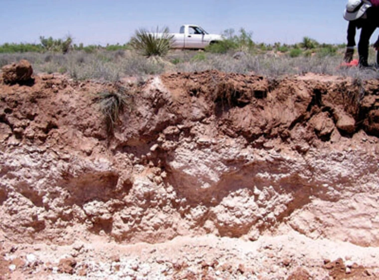 side view of soil horizon with dirt above white layers of calcite or caliche