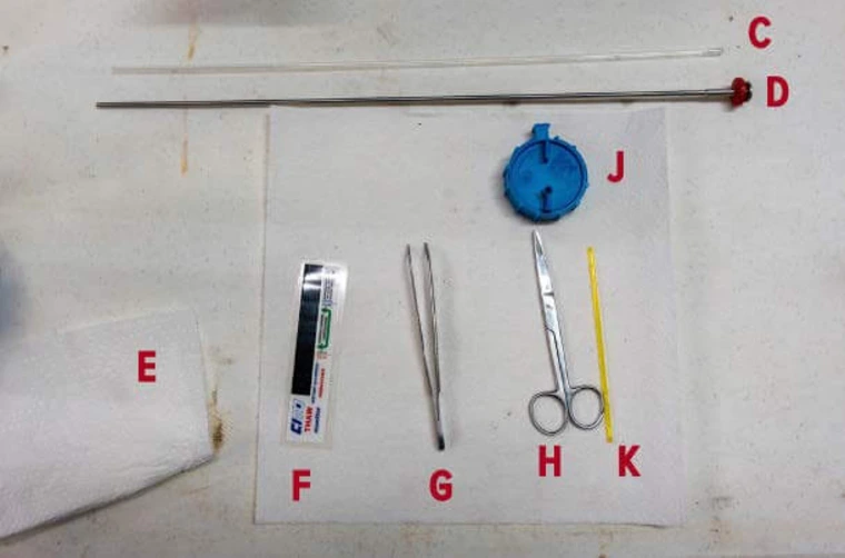 artificial insementional sheath, gun, paper towels, electric thermometer, forceps, scissors and straw cutter laid out on table