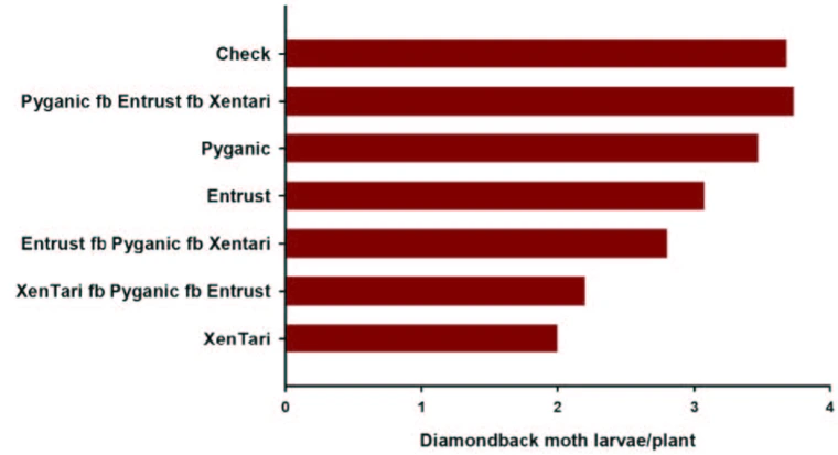 graph of insecticide rotation evaluation for diamondback moth control