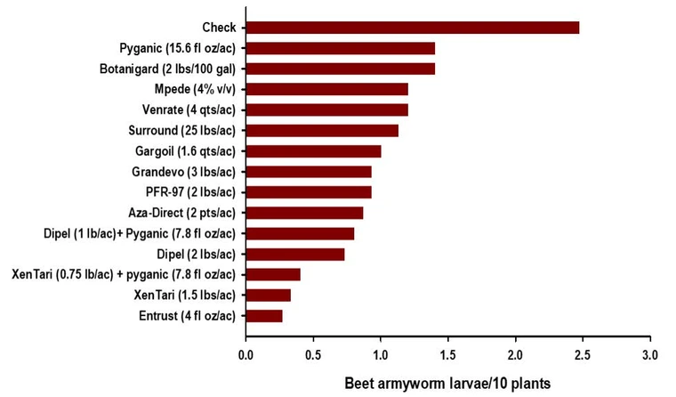 graph of insecticide efficacy trial against beet armyworm in cabbage, fall 2024