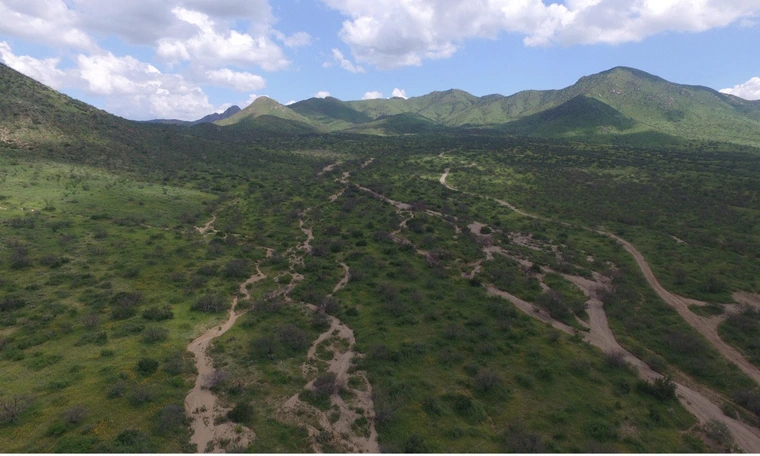 overhead photo of washes post-monsoon at the Santa Rita Experimental Range