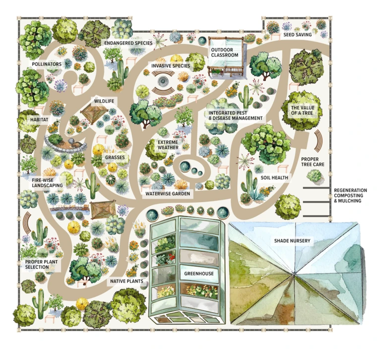 graphic showing a conceptual map of a new university of arizona garden