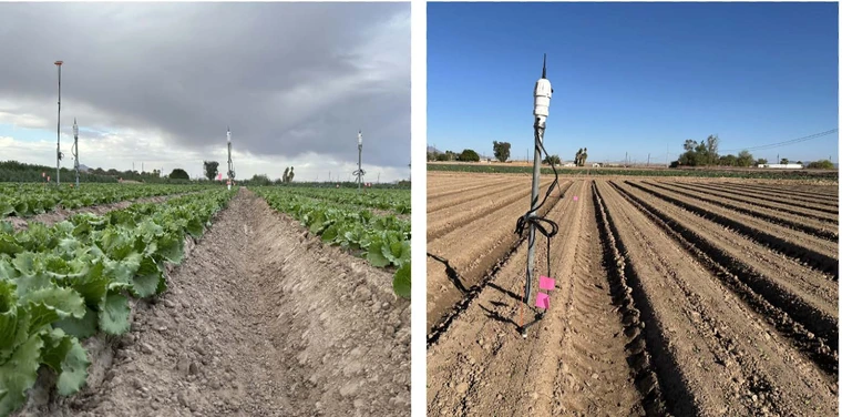 rip irrigation sensors drilled into the ground between crop rows with sensor transmitter on about 6 ft tall pole