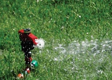 irrigated turf