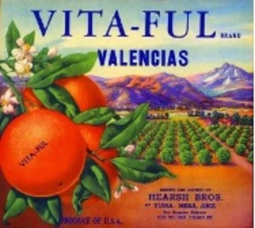 VITA-FUL label