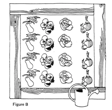 illustration showing raised beds using railroad ties, landscaping wood, lumber, blocks or rocks