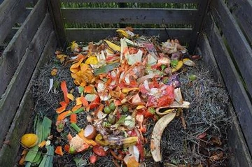 green waste in compost bin