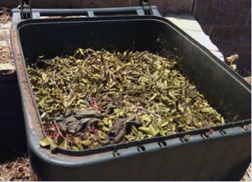 compost