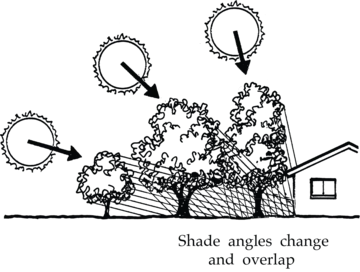 Shade angles change and overlap as the seasons progress through the year