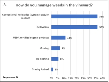 Graphic of How do you manage weeds in the vineyard?