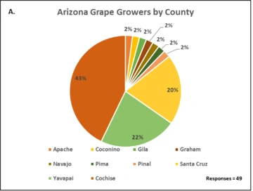 Illustration of Arizona Grape Growers by County