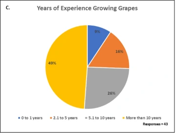 Illustration of Years of Experience Growing Grapes