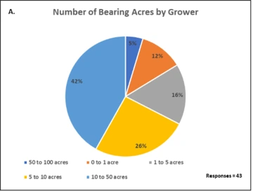 Illustration of Numbers of Bearing Acres by Growers