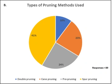 Graphic of Types of Pruning Methods Used